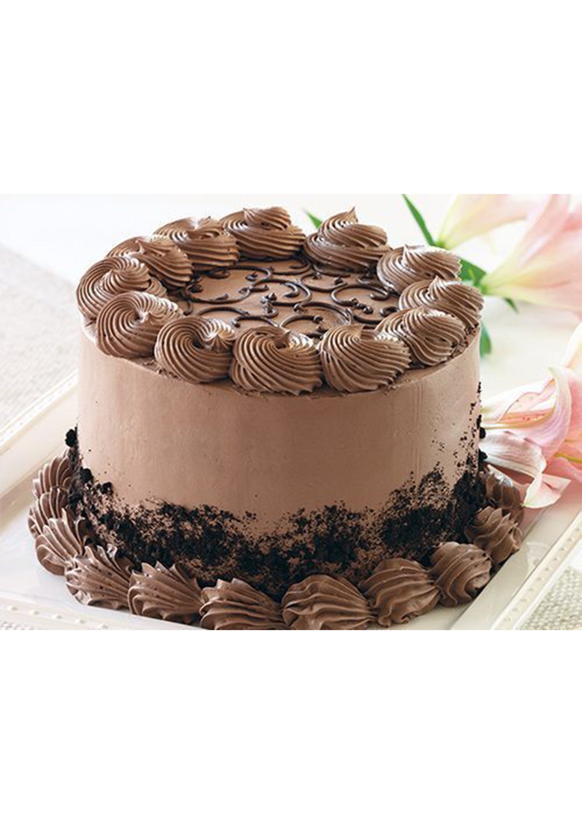 Pre Whipped Chocolate Icing