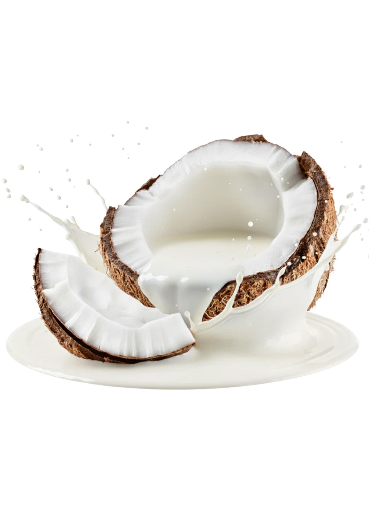Organic Coconut Milk
