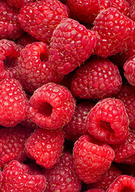 Raspberry Puree